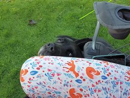 Peek-a-boo