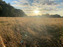 Sunset over the camping field