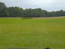 Plenty of space for walking dogs