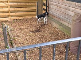 The lodge’s little garden area