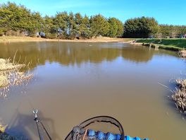 Lake view