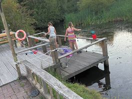 Net fishing at the pond