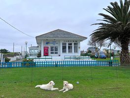 La reception del campeggio foz