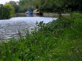 Yet more canal