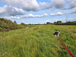 Walk next to river