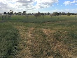 Unpowered level site