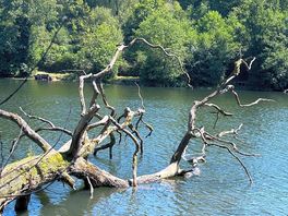 And some local scenery to enjoy