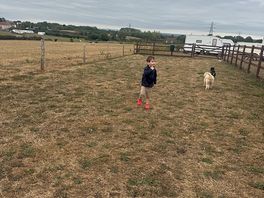 Dog run