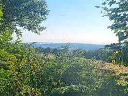 View from the top of the woodland walk from the campsite