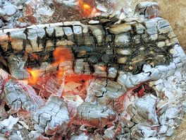 Warm by the fire
