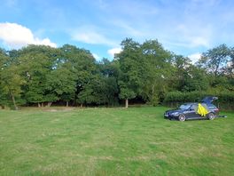 Good space for tent, pitch where you like