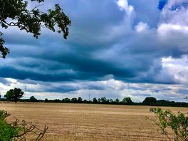 The field across from the campsite.