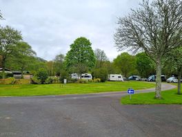 The site