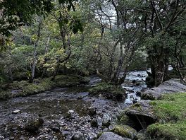 River