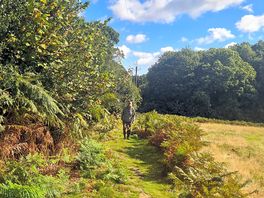 Out walking on the sites walk