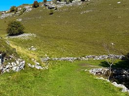 Walk from site