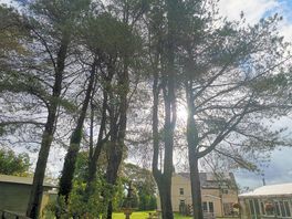 When the sun finally appeared on the last day of our stay