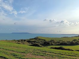 Views during our walk