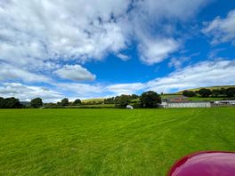 Our field