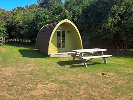 A little pod