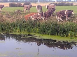 Lincolnshire at its best