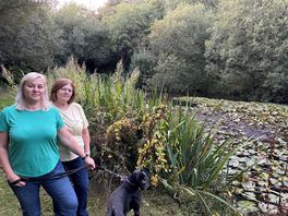 Lovely walking the dog around the two lakes/ponds