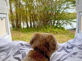 Lovely view to wake up to