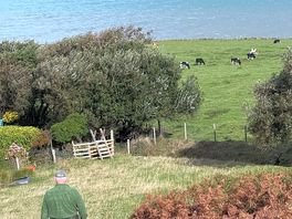 Costal walk