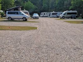Site view.