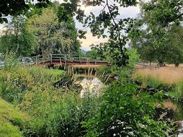 Pictures taken but my son ! just look at the sheep in the river and the bird of pray flying 🥰