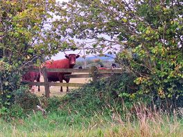 Friendly neighbours