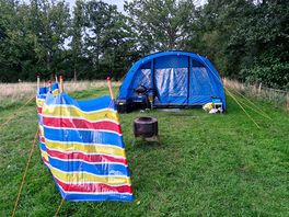 Our pitch
