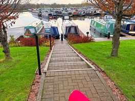 The dogs loved their walks.