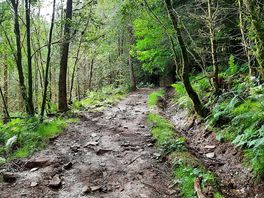 Nearby walk