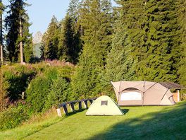 Tent pitch sheltered by trees