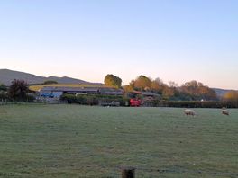 View of the neighbouring field
