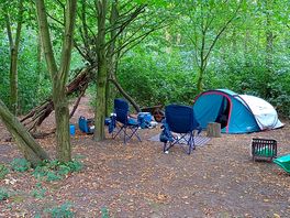 Our pitch