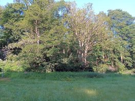 Lots of trees. little bath for the soul.