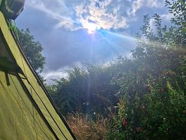 Morning campers