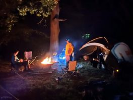 Our pitch under the trees @ night