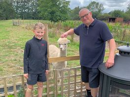 Stroking the alpaca