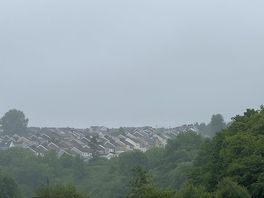 Other view
