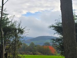 The entrance to the field where the shepherds hut is set.