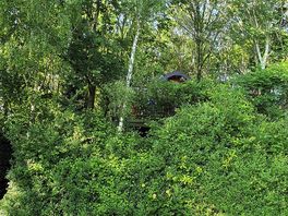 Secluded