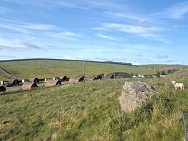 View of the site from the dog walk area