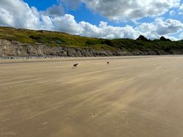 Did not want to leave the beautiful beach
