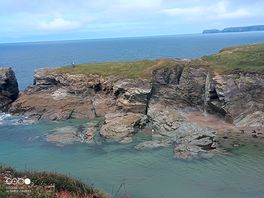 The rumps