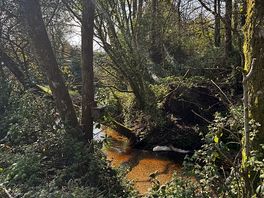 Beautiful wildlife and peaceful. if you are lucky you may see an otter
