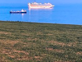 It was the little freighter that made a racket until the early hours not the caribbean princess!