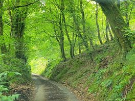 The road in and out.